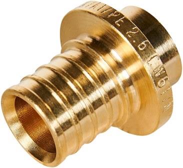 �������� 25